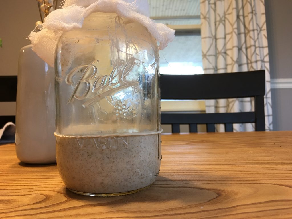A narrow mouth mason jar covered with a recently cut cheese cloth is sitting on a wooden table. The jar has some sourdough starter in it just after its feeding. A rubber band marks the level of the starter to better determine the activity of the starter throughout the day